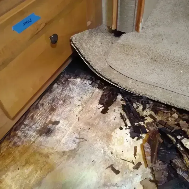 Wood Floor Water Damage in Goose Creek, SC